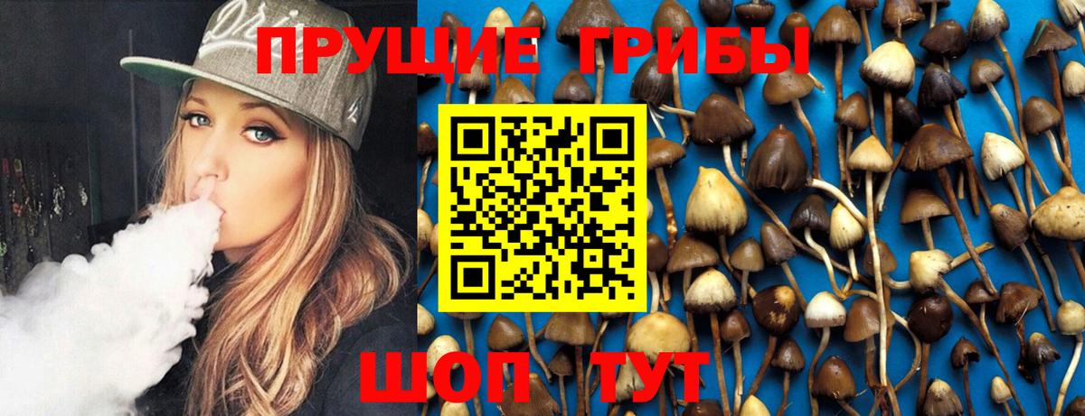 Галлюциногенные грибы Psilocybine cubensis Биробиджан